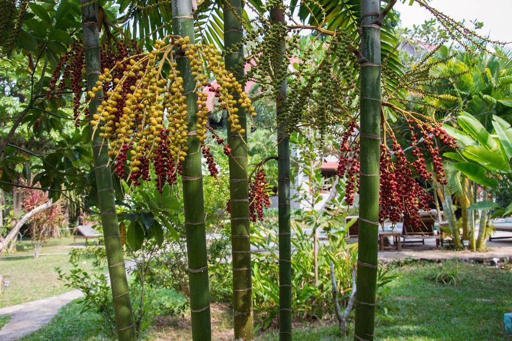 Le Flamboyant Resort Kep Bagian luar foto