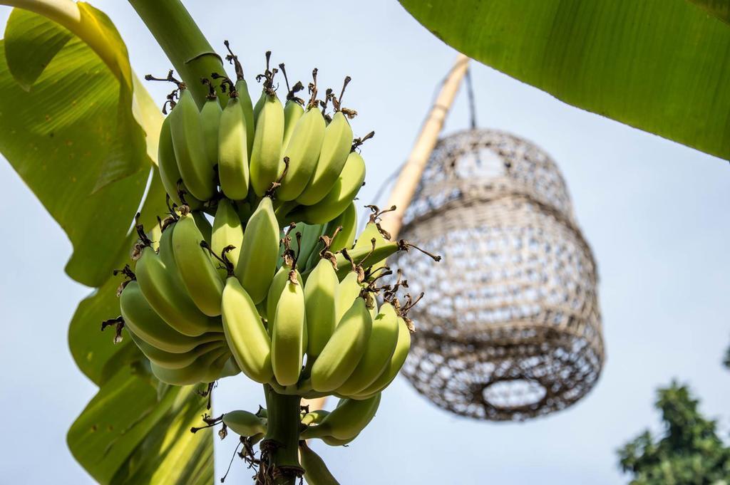 Le Flamboyant Resort Kep Bagian luar foto
