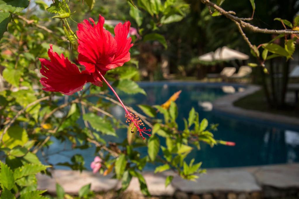 Le Flamboyant Resort Kep Bagian luar foto