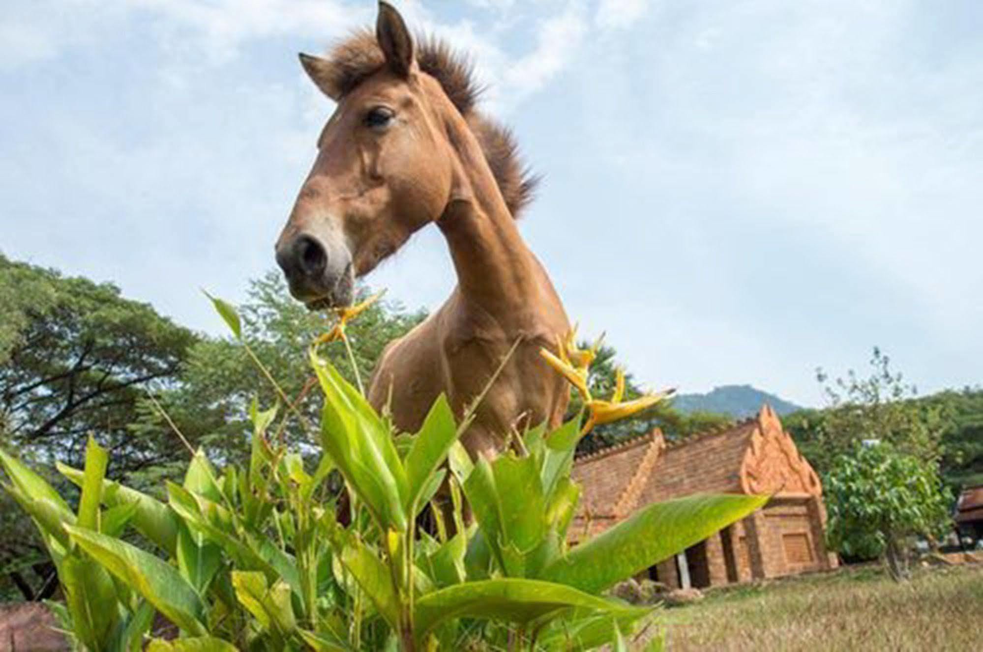 Le Flamboyant Resort Kep Bagian luar foto